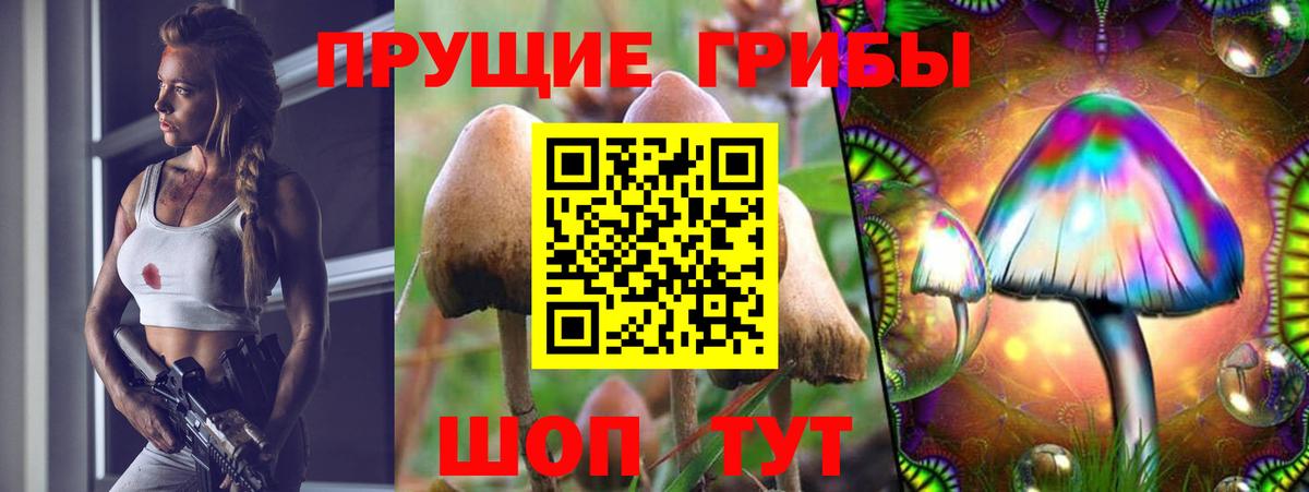 купить   Вход с VPN  Россия  Галлюциногенные грибы Magic Shrooms 